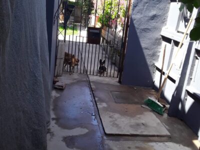 Lavalle 1720 - Rafaela- Santa Fe